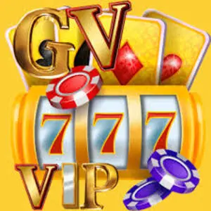 pkgv777.com Logo